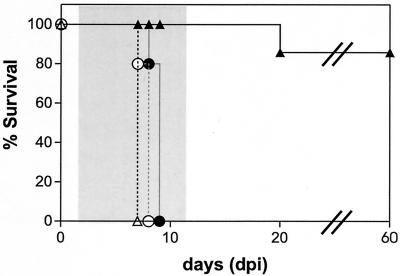 FIG. 7.