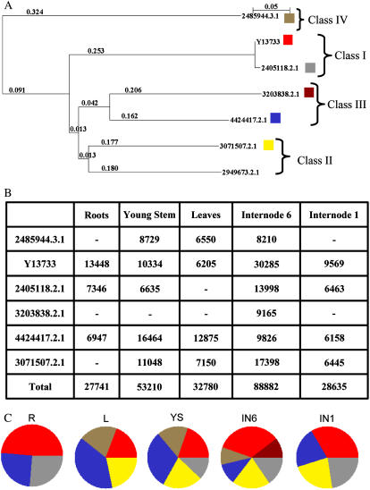 Figure 7.