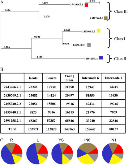 Figure 5.