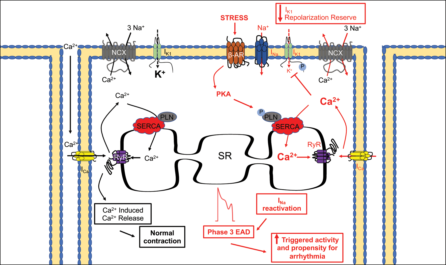 Figure 7: