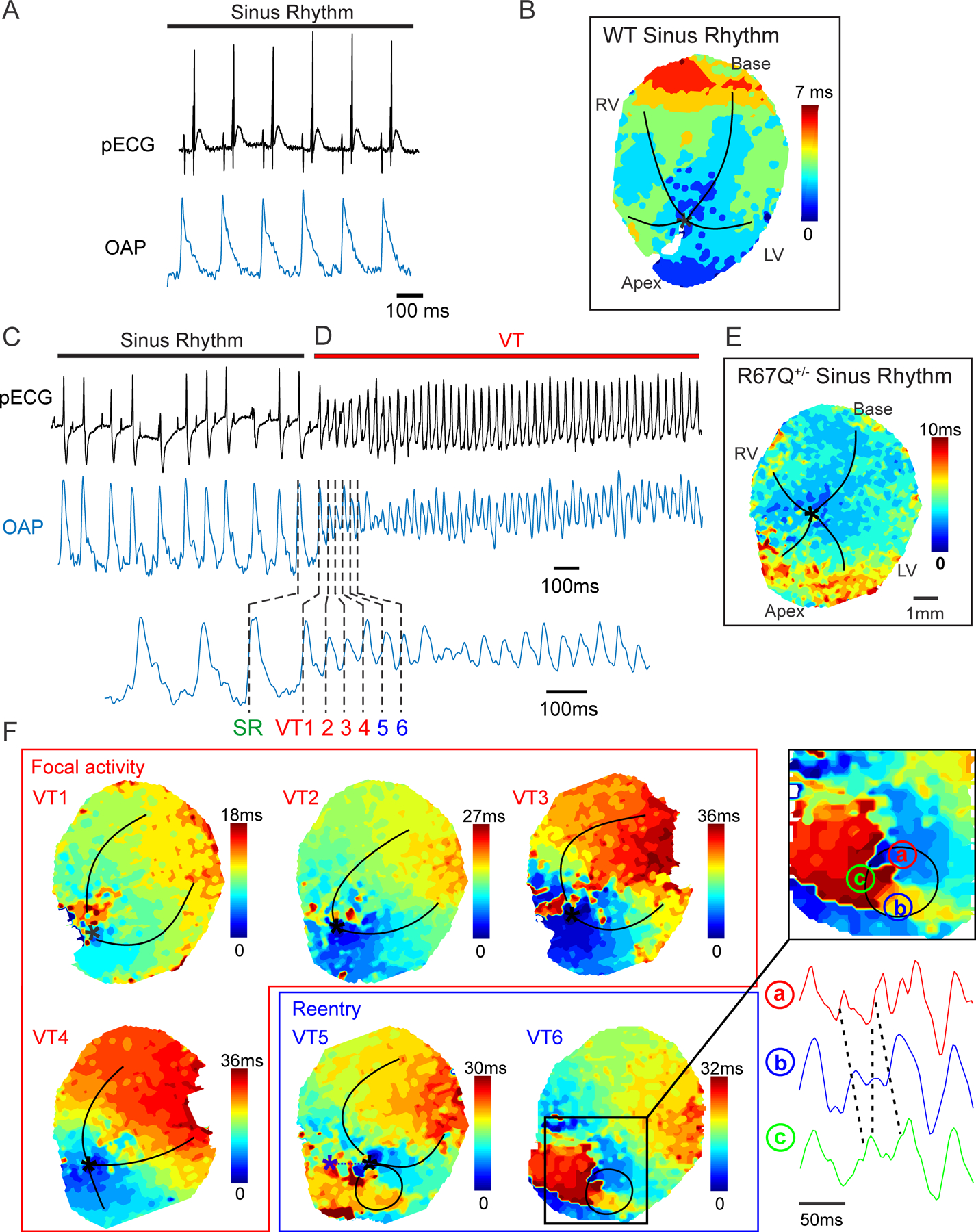 Figure 2: