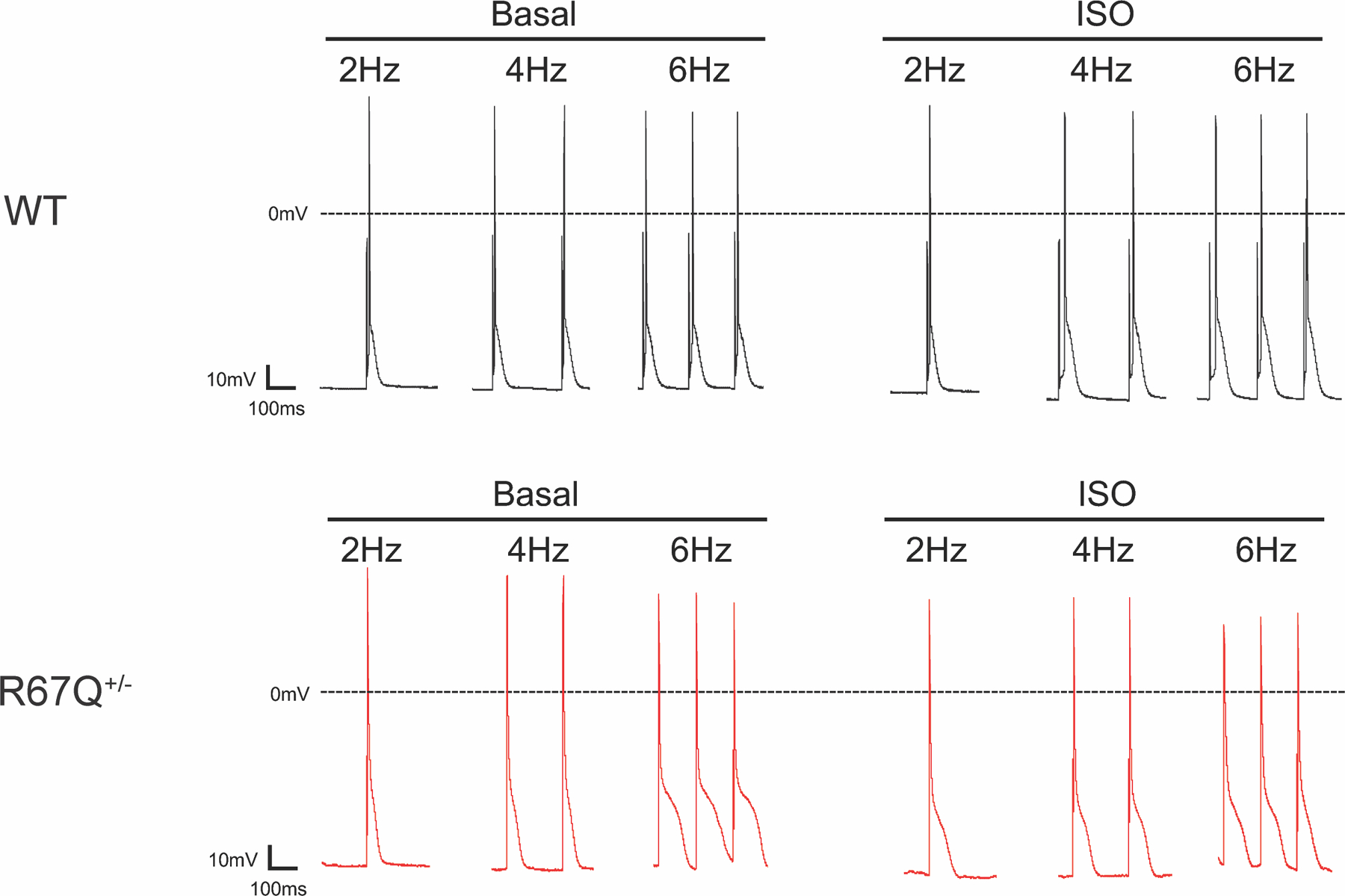 Figure 4: