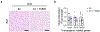 Extended Data Fig. 8