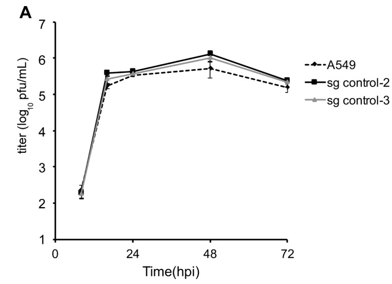 Figure 5—figure supplement 3.