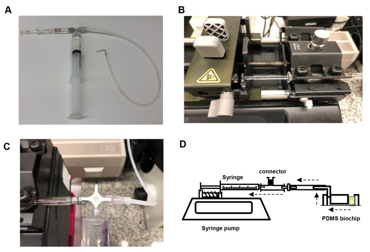 Figure 2.