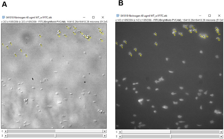 Figure 13.