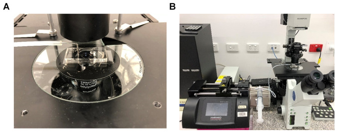 Figure 3.