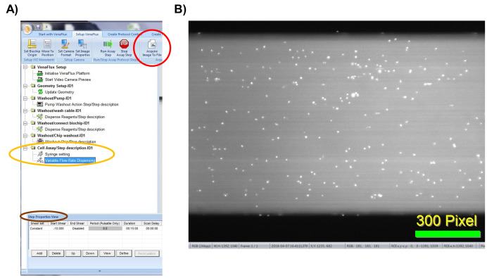 Figure 11.