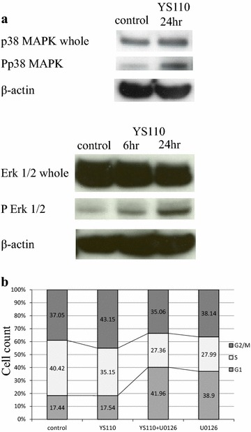 Fig. 4