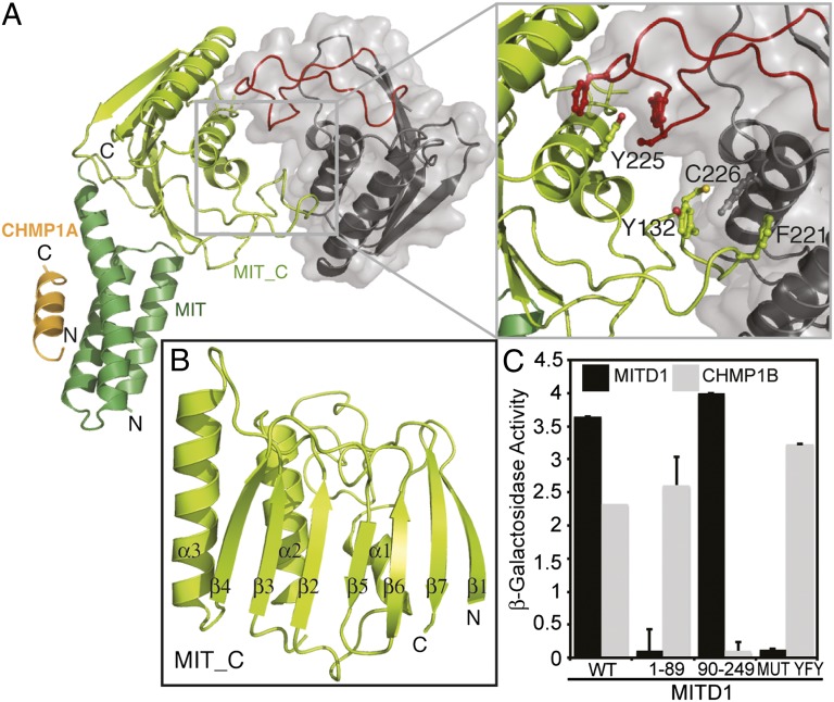 Fig. 3.