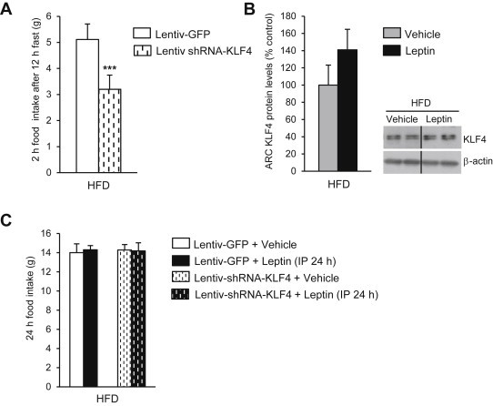 Figure 6