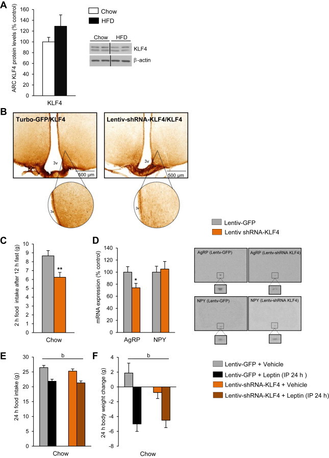 Figure 5