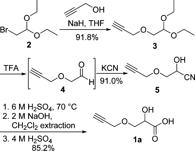 Scheme 2