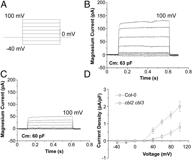 Fig. 4.