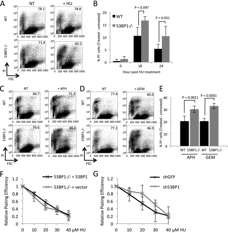 FIG 1