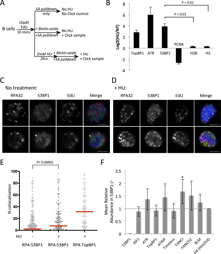 FIG 6