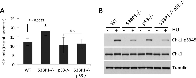 FIG 5