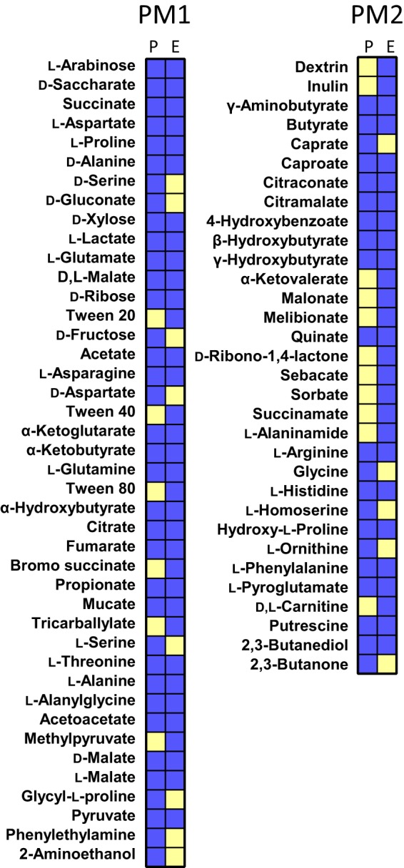 FIG 2