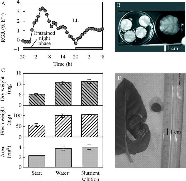 Fig. 3.