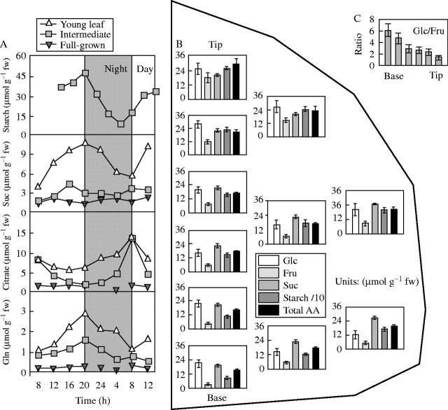 Fig. 4.