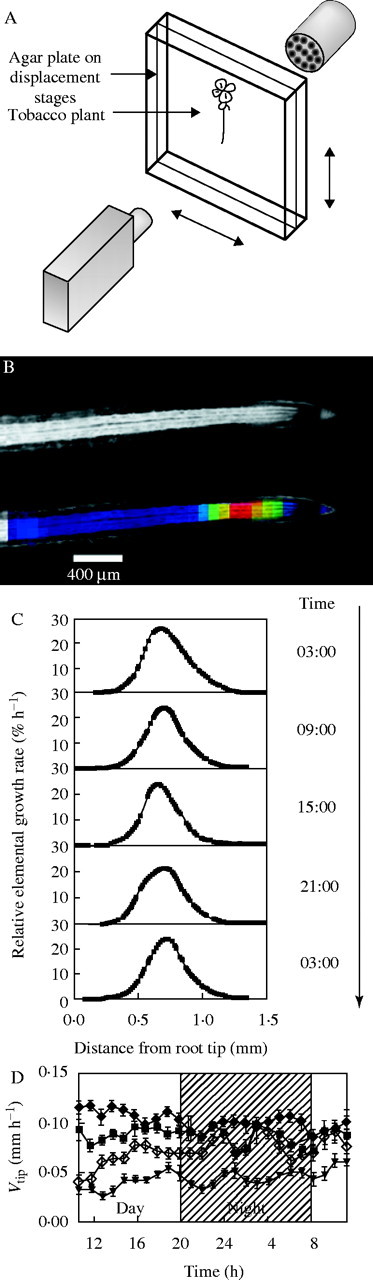 Fig. 2.