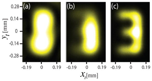 Fig. 4