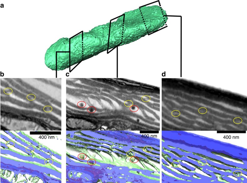 Figure 5