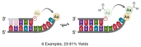 Graphical Abstract