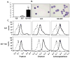 FIG 1