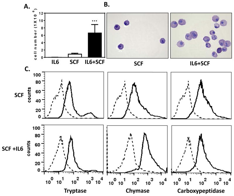 FIG 1