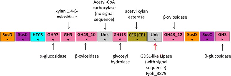 Fig. 2