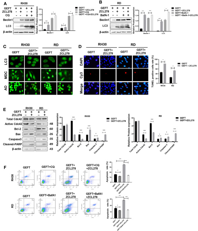 Figure 4