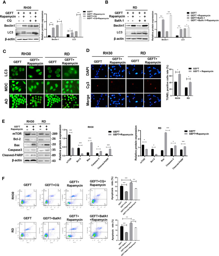 Figure 6