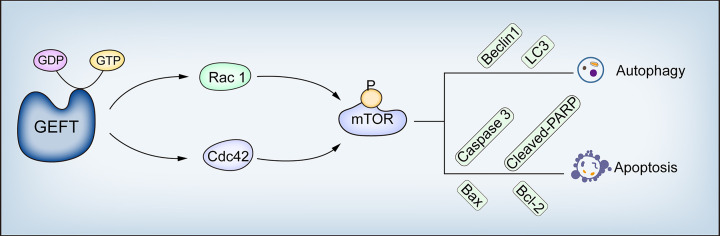 Figure 9