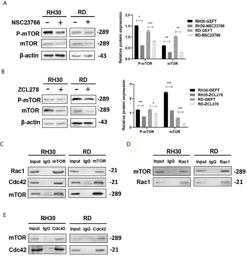 Figure 5