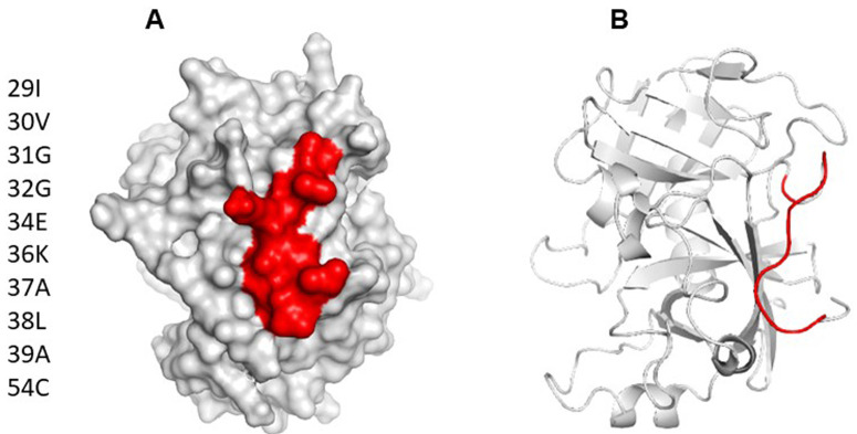 Figure 3. 