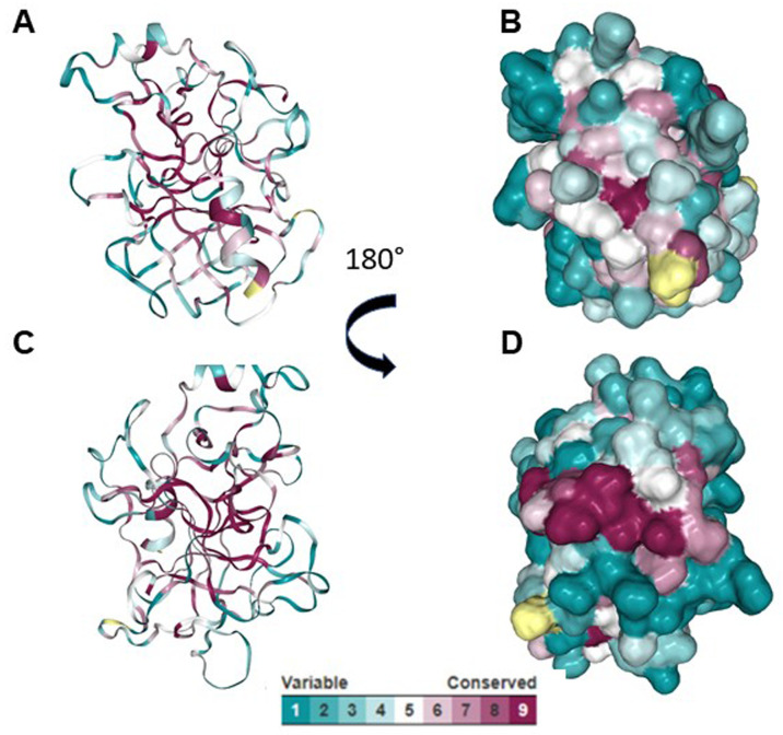 Figure 4. 