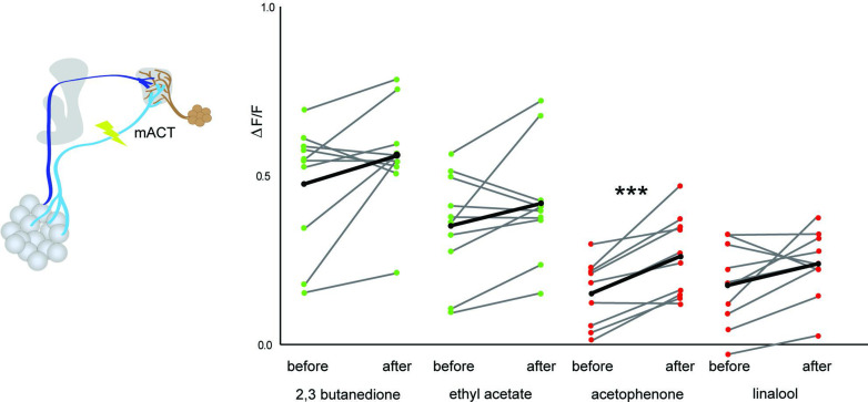 Figure 5—figure supplement 2.