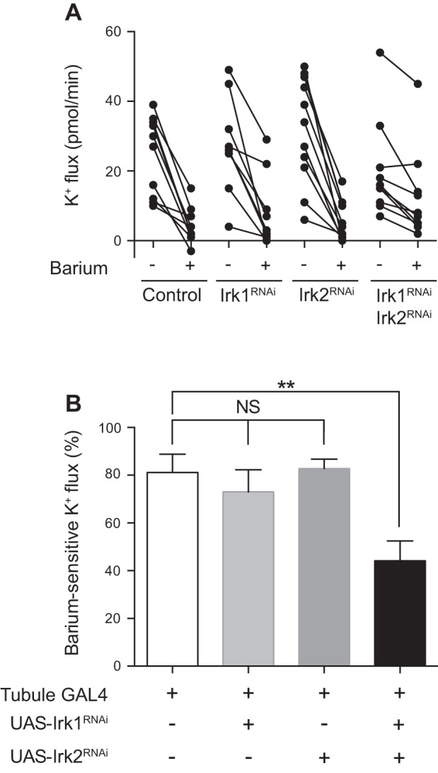 Fig. 7.