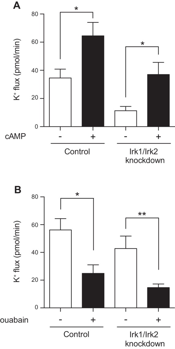 Fig. 8.