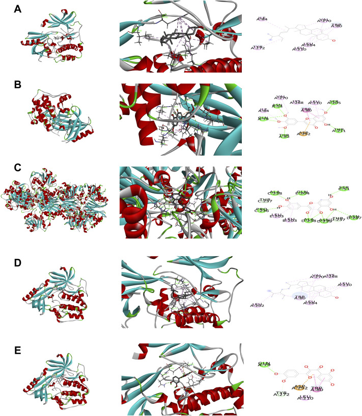 FIGURE 4