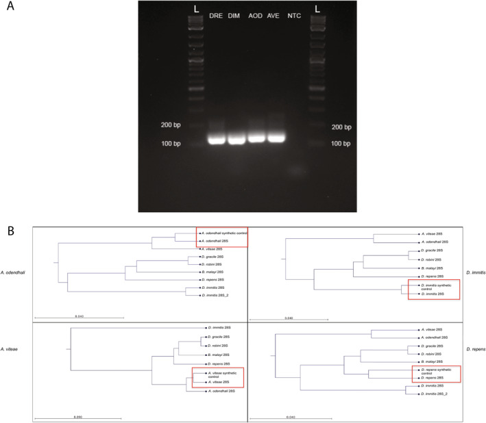 FIGURE 2