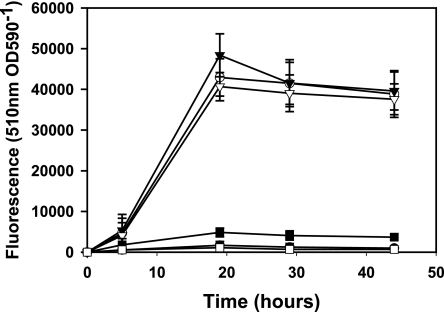 FIG. 2.