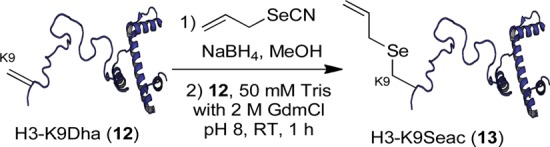 Scheme 5