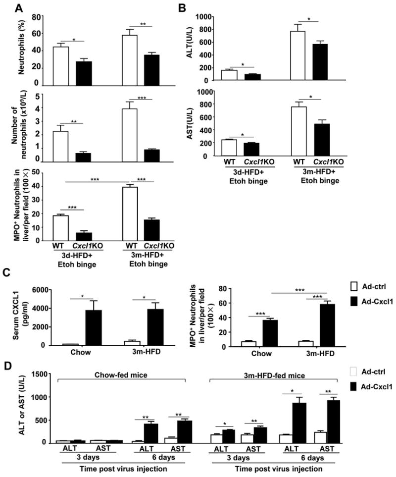 Short- or long-term high fat diet feeding plus acute ethanol binge ...