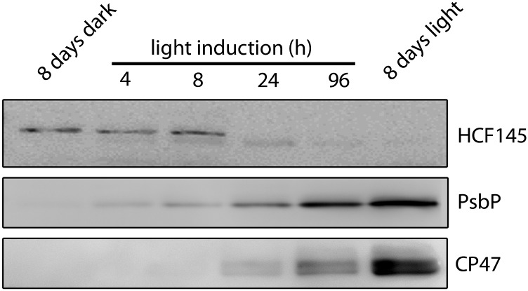 Figure 9.