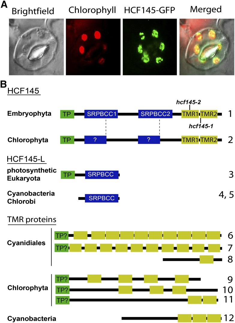 Figure 3.