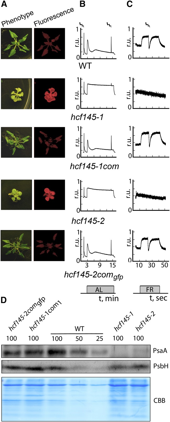 Figure 2.