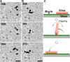 FIG 5