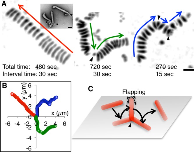 FIG 3